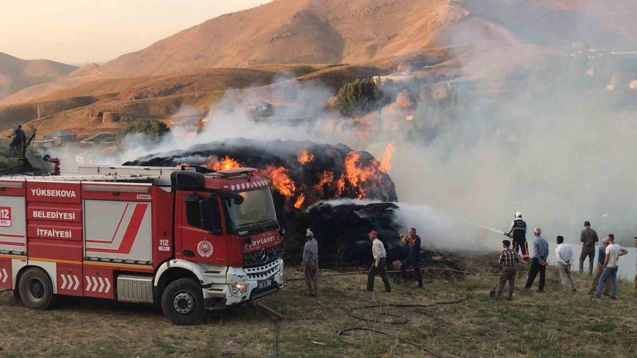 Yüksekova’da çıkan yangında 6 bin bağ ot yandı