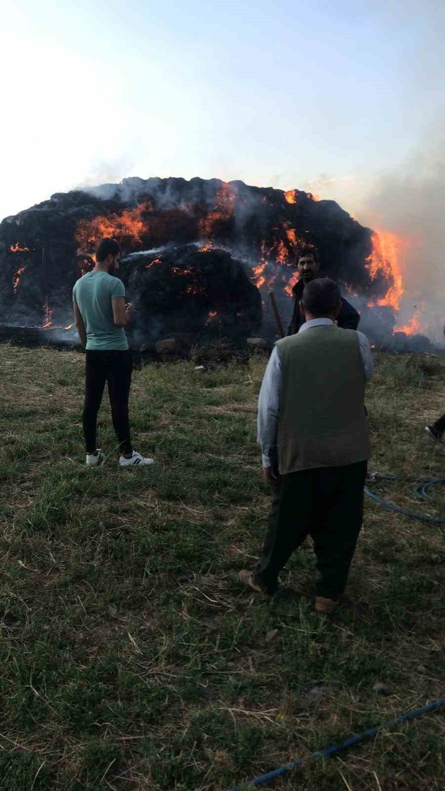Yüksekova’da çıkan yangında 6 bin bağ ot yandı