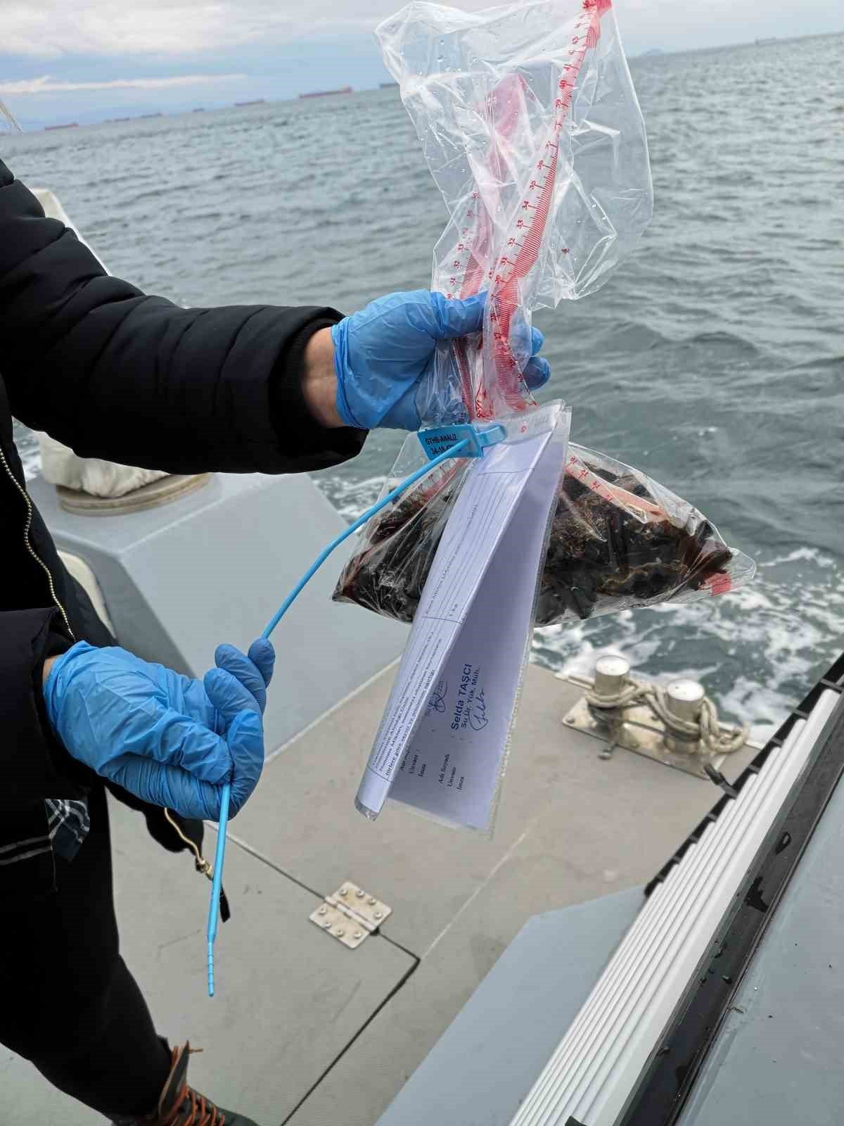 İstanbul’da midye avlanan alanların sayısı arttı