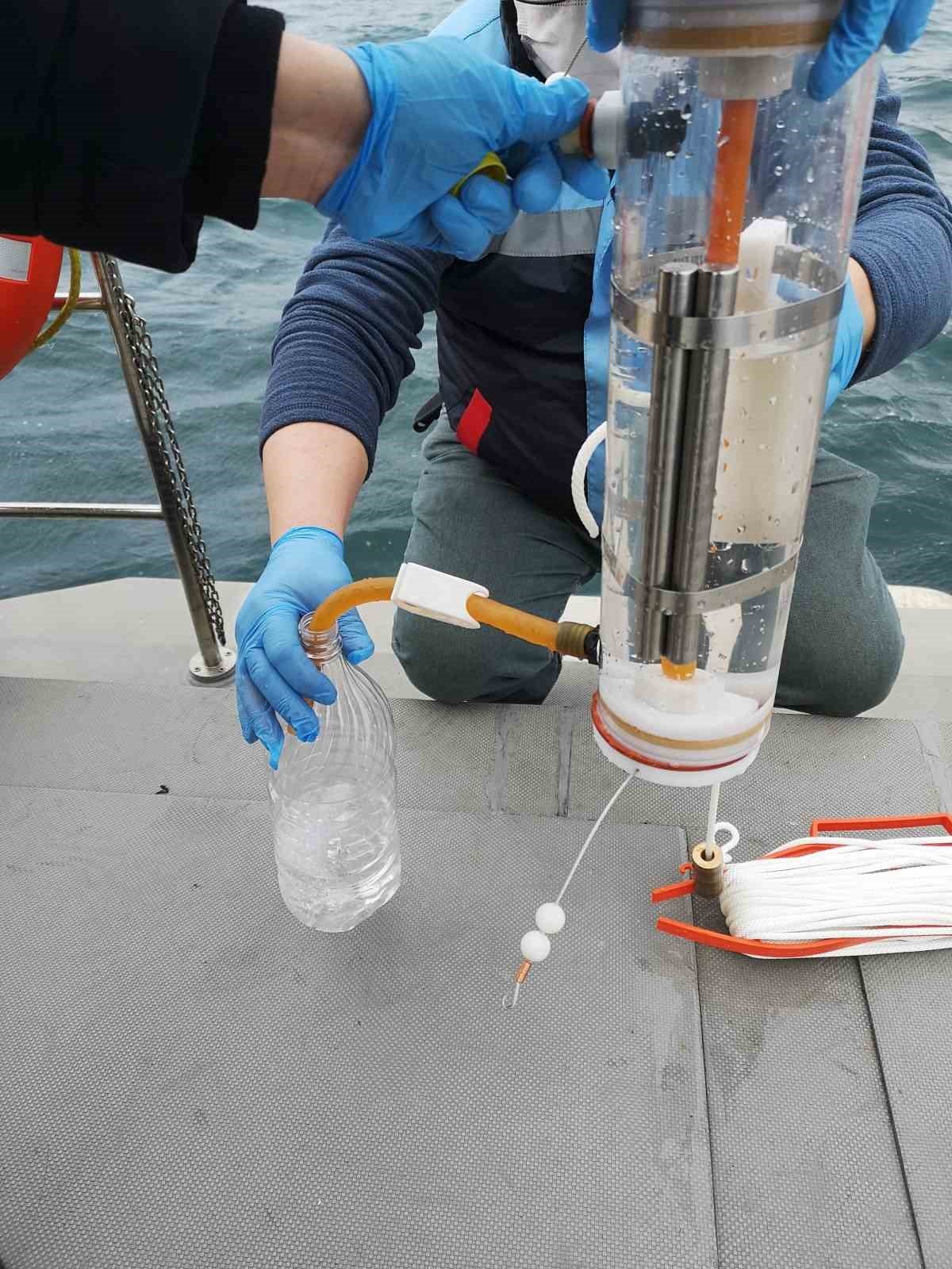 İstanbul’da midye avlanan alanların sayısı arttı