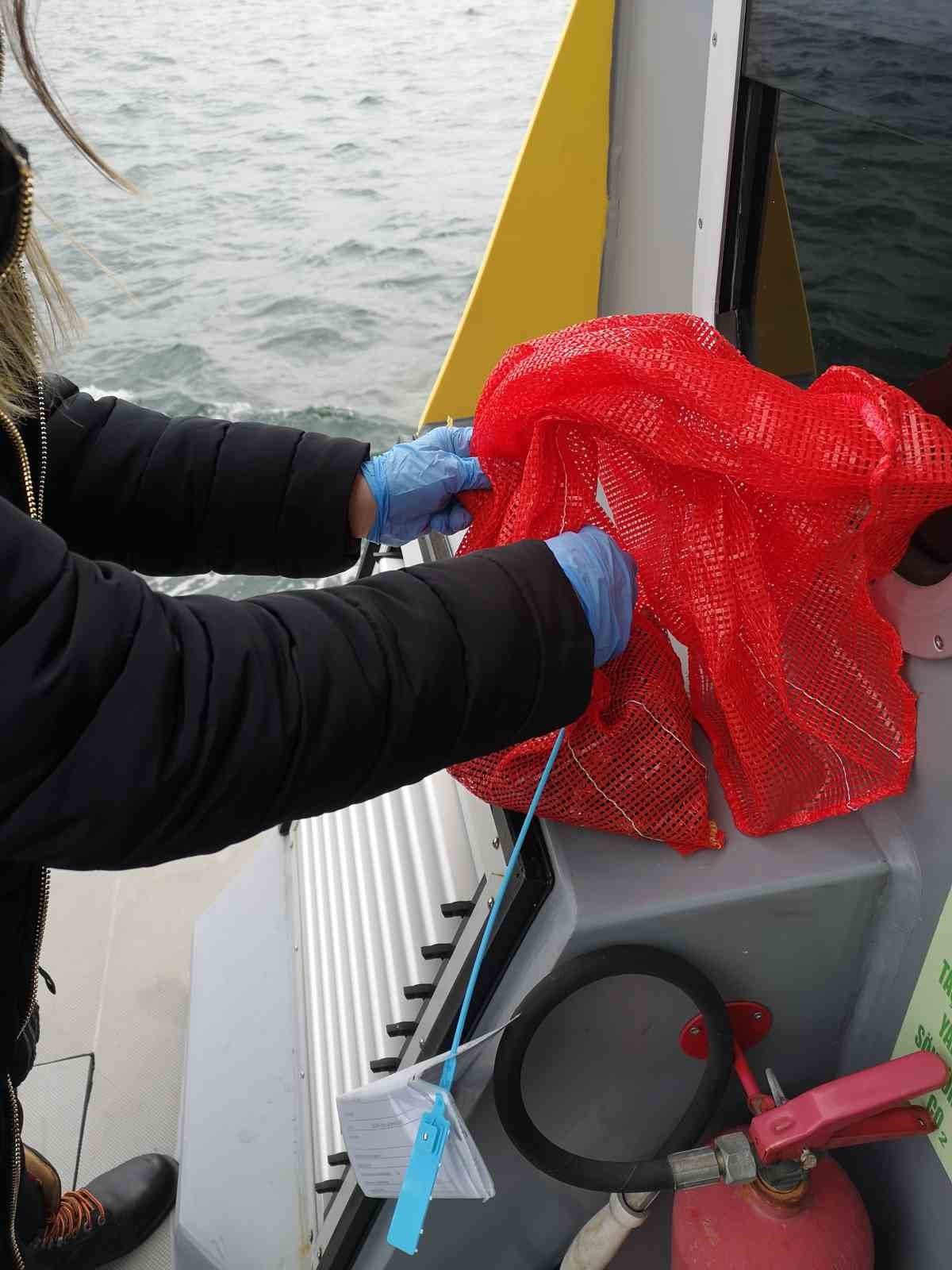 İstanbul’da midye avlanan alanların sayısı arttı