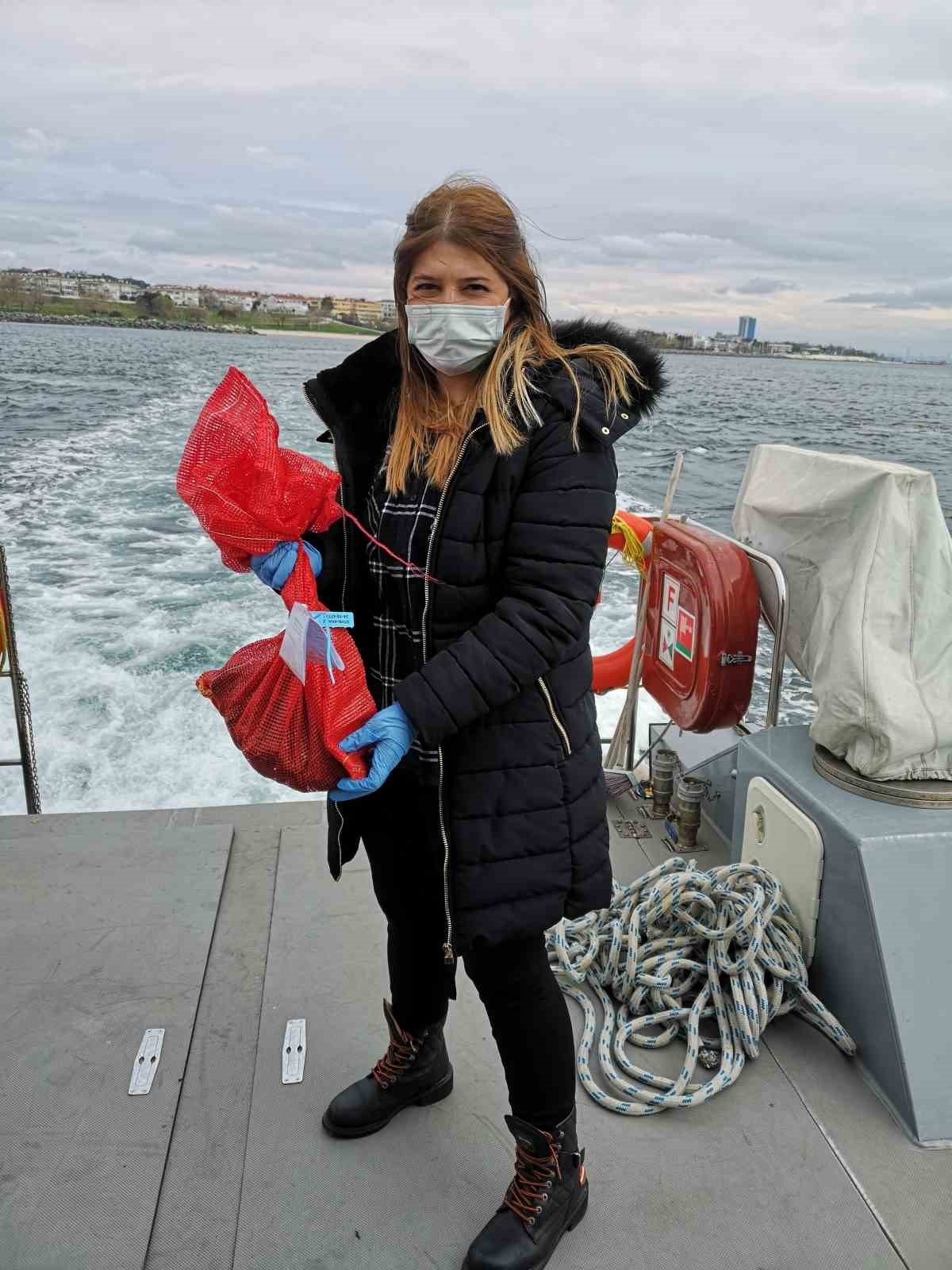 İstanbul’da midye avlanan alanların sayısı arttı