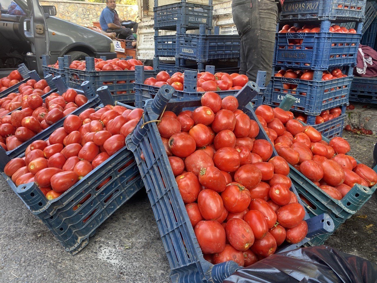 Salçalık domates ve biberler tezgahlarda