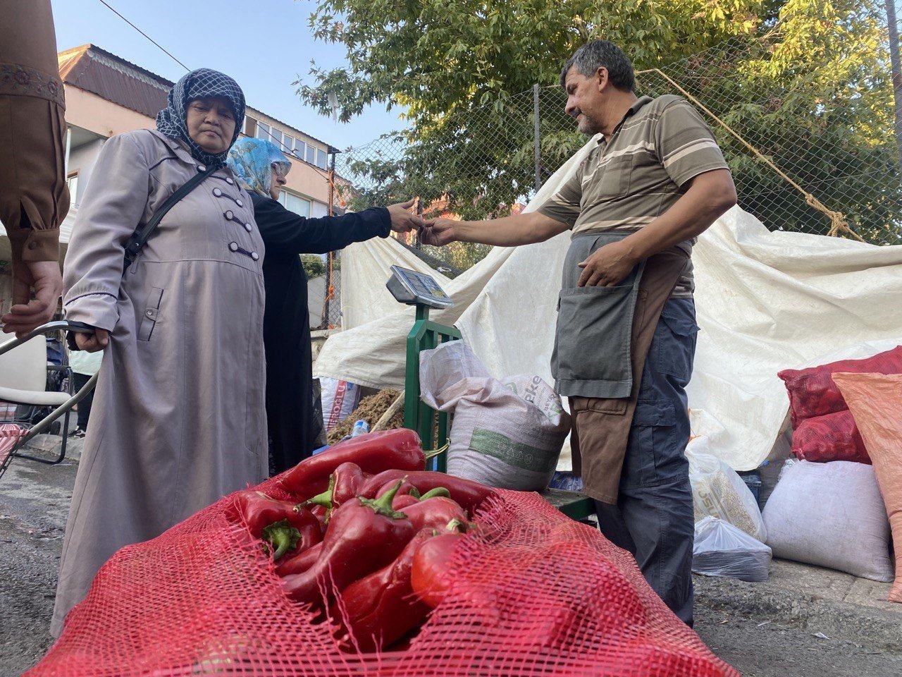 Salçalık domates ve biberler tezgahlarda