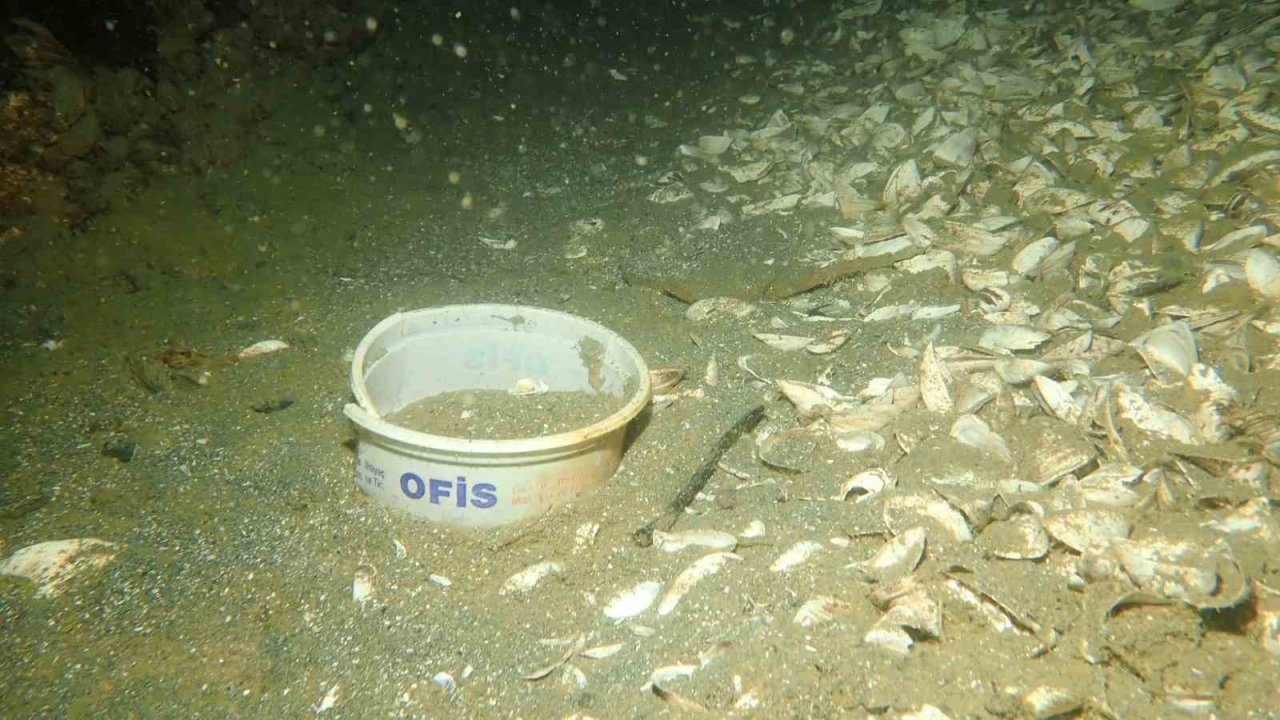 Keban Baraj Gölü’ndeki kirlilik su altı kamerası ile görüntülendi