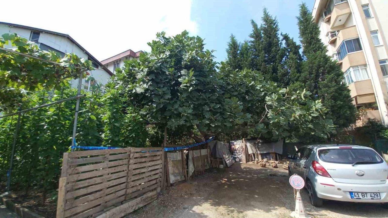 Ağaçtan düştü, kalbine dal parçası saplandı