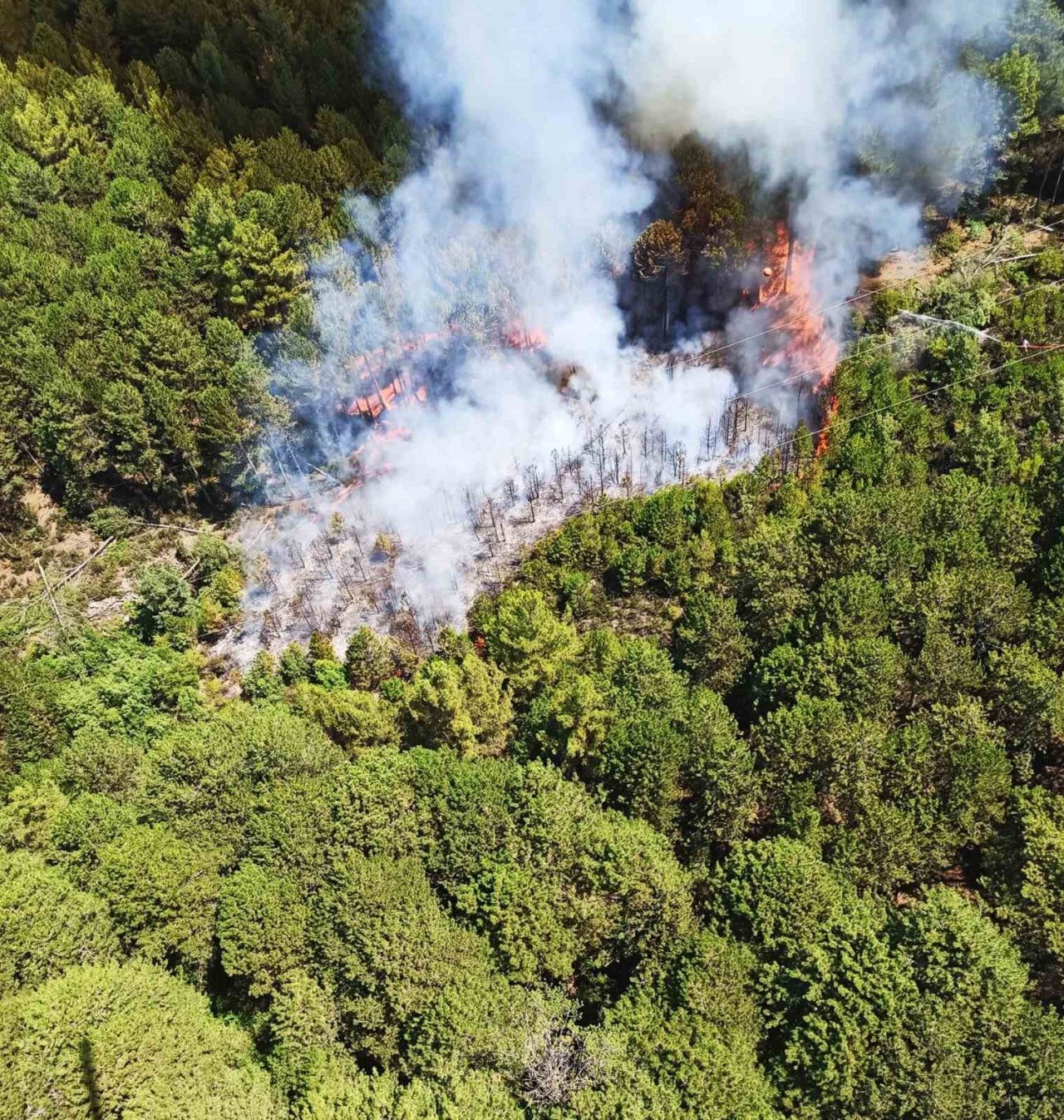 Bir günde 36 yıldırım yangını