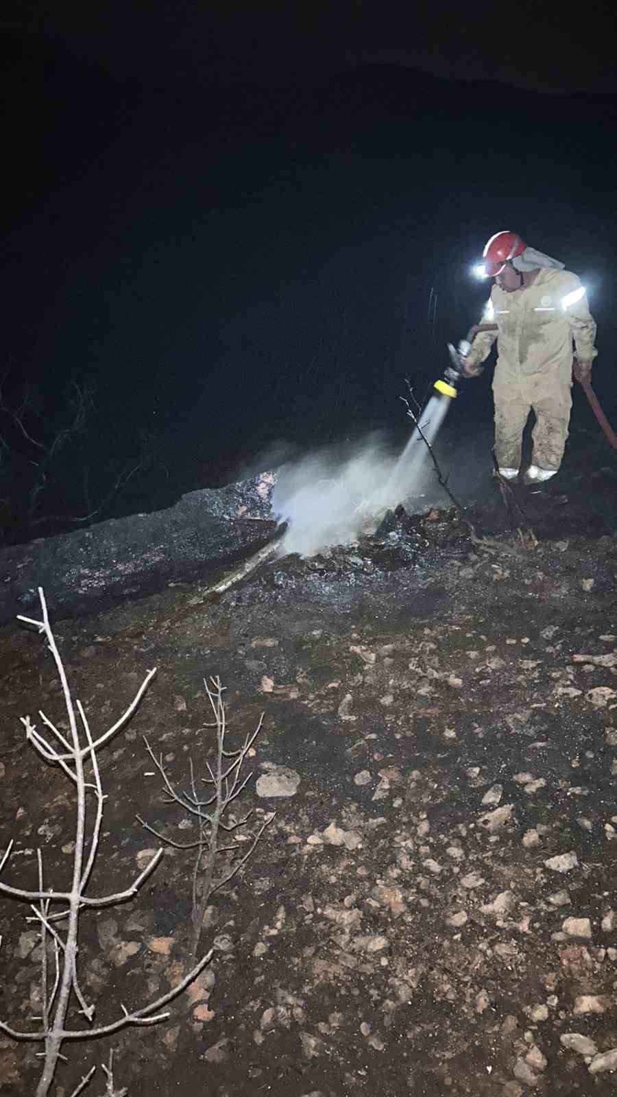 Bir günde 36 yıldırım yangını