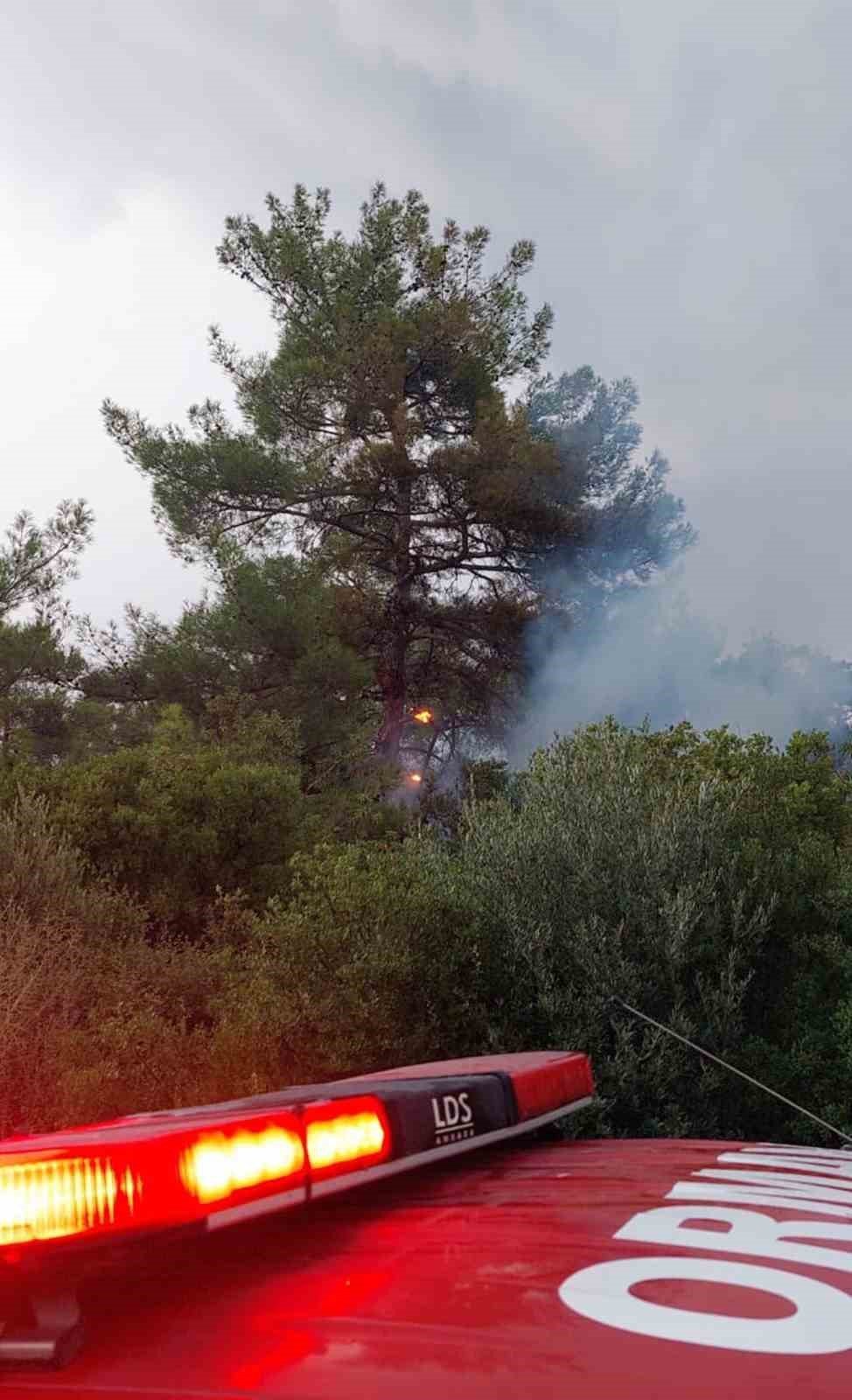 Bir günde 36 yıldırım yangını