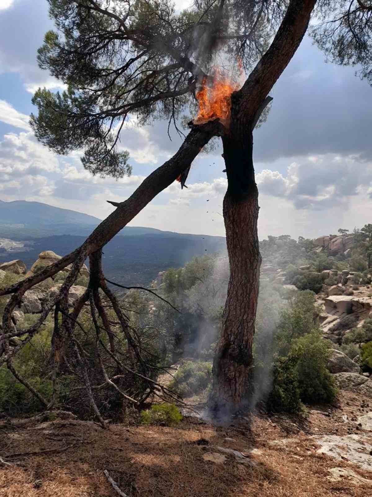 Ormanda yangına sebep olan yıldırımın düştüğü anları görüntülediler