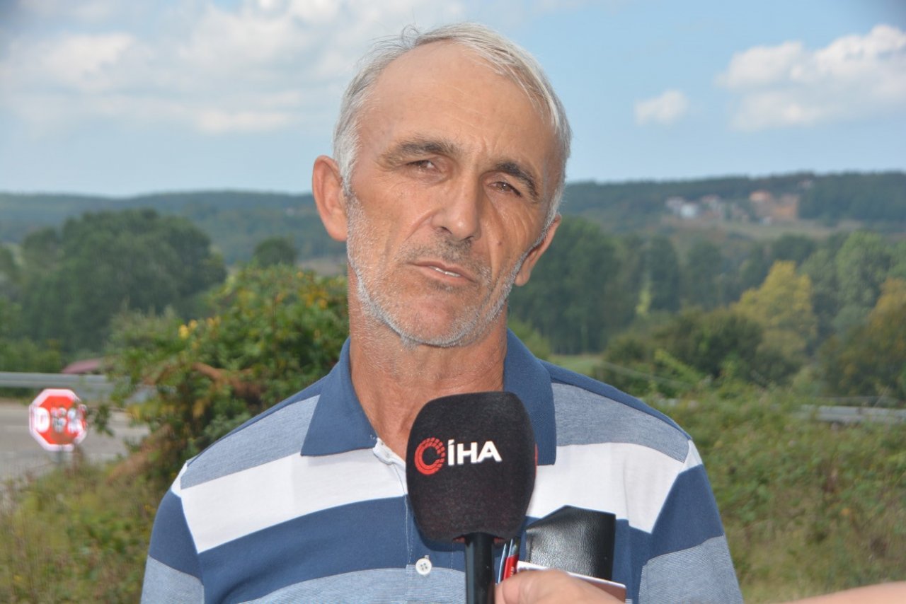 Sinop Mertoğlu köyünde başıboş köpek sorunu