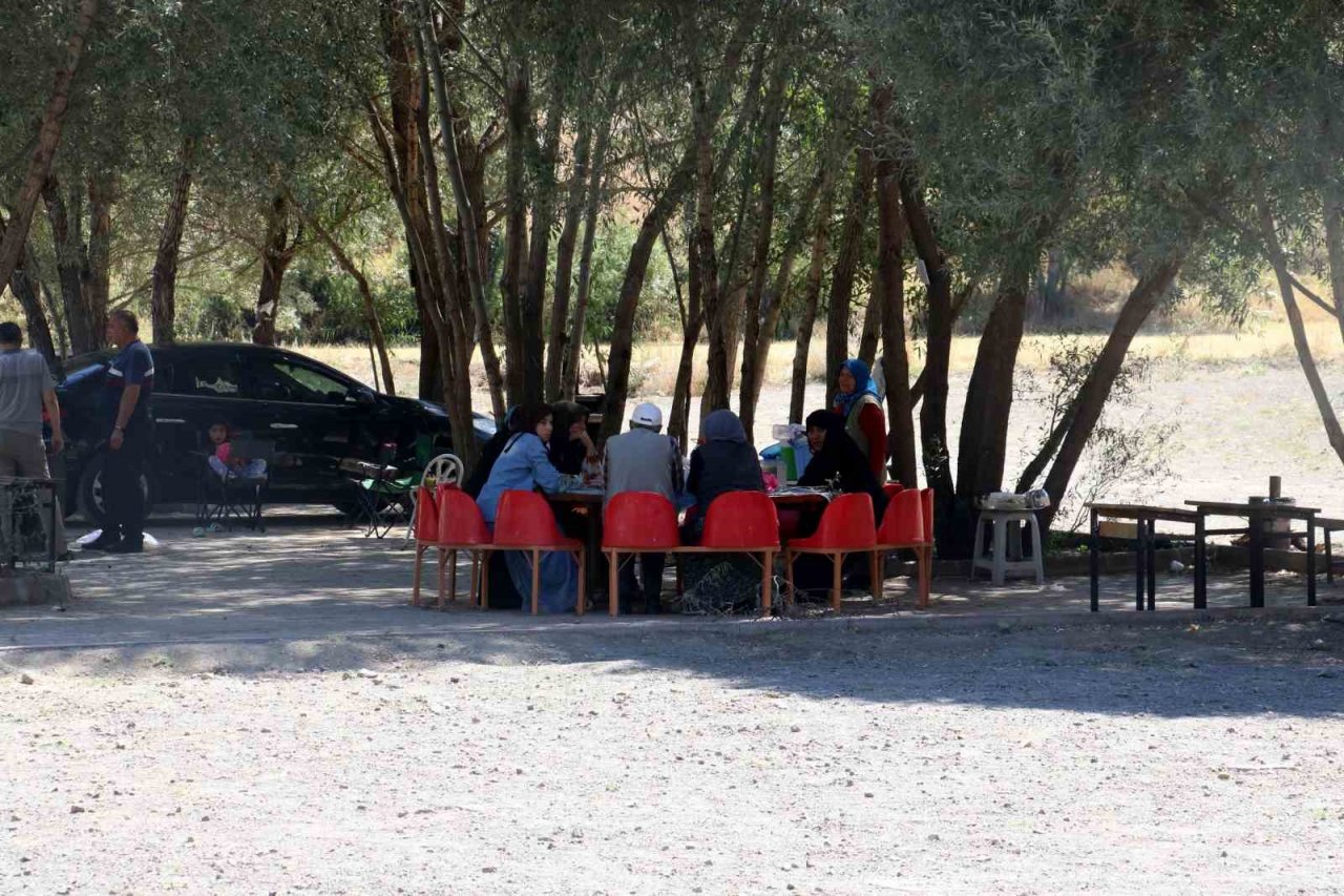 Muhtarın doğa sevgisi bozkırı vahaya dönüştürdü