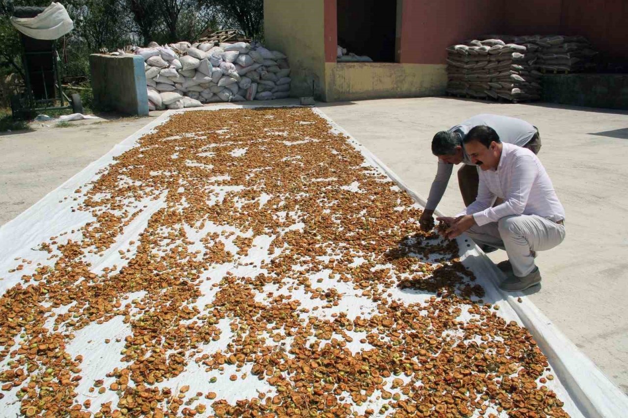 Başkan Süer’den çiftçilere büyük müjde