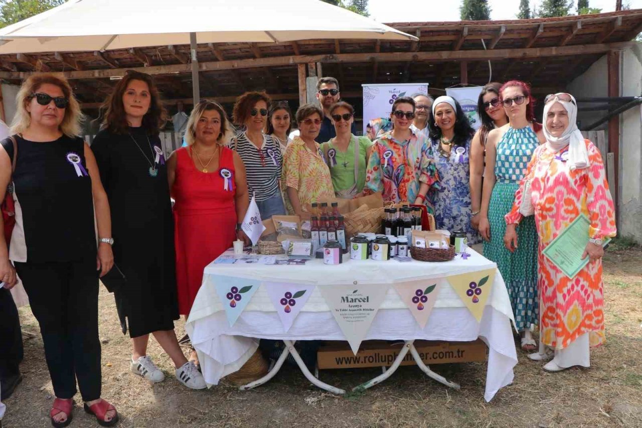 Yalova’nın coğrafi işaretli meyvesi aronyada hasat sevinci