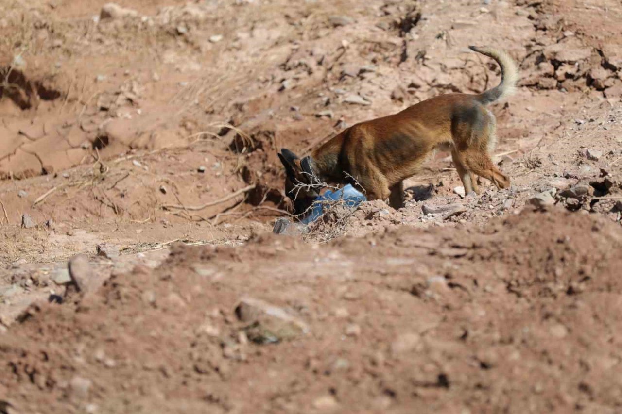 Selde kaybolan Asel bebek özel eğitimli köpekler ile aranıyor