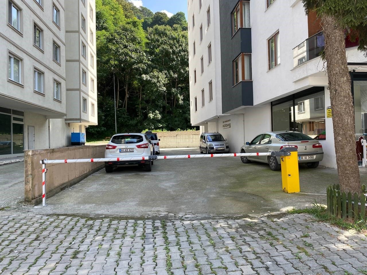 Artvin’de köpeğin saldırısı güvenlik kamerasına yansıdı