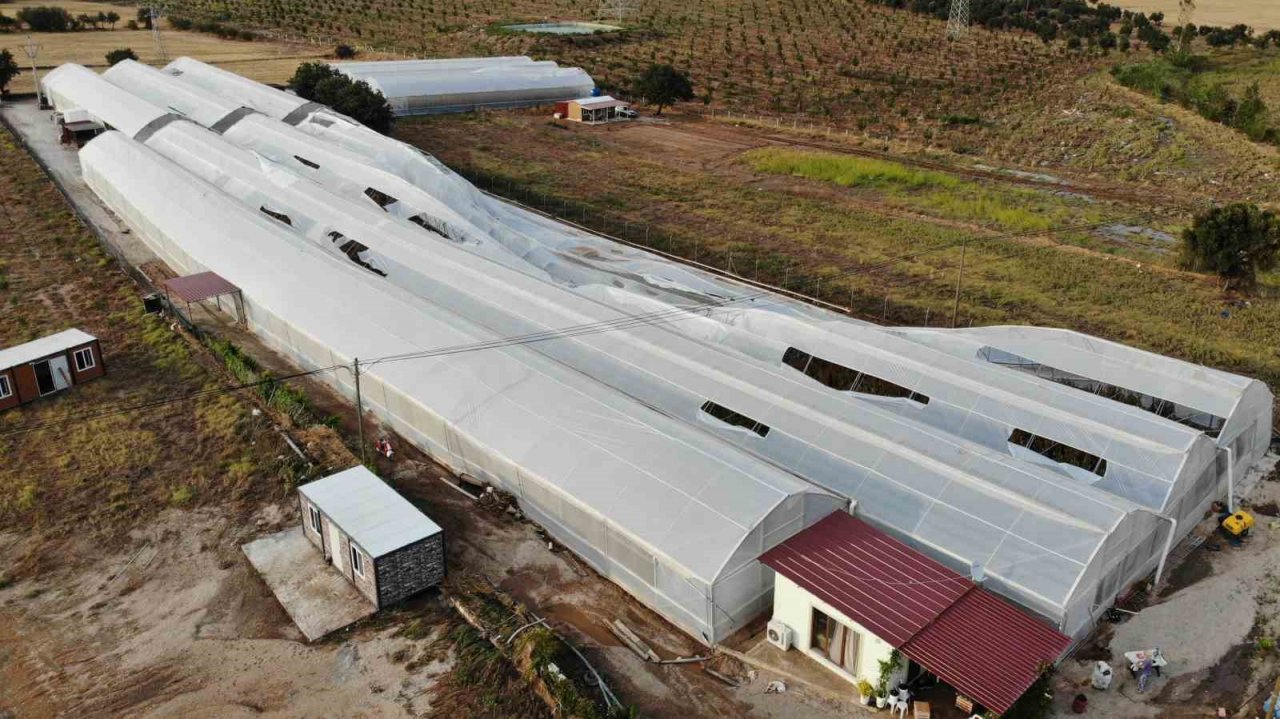 Ezine’de sağanak yağışla birlikte bin 150 dekar tarım arazisi zarar gördü