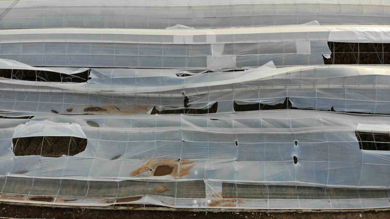 Ezine’de sağanak yağışla birlikte bin 150 dekar tarım arazisi zarar gördü