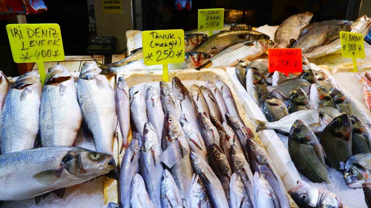 Av yasağı bitti, tezgâhları hamsi ve sardalya süslüyor