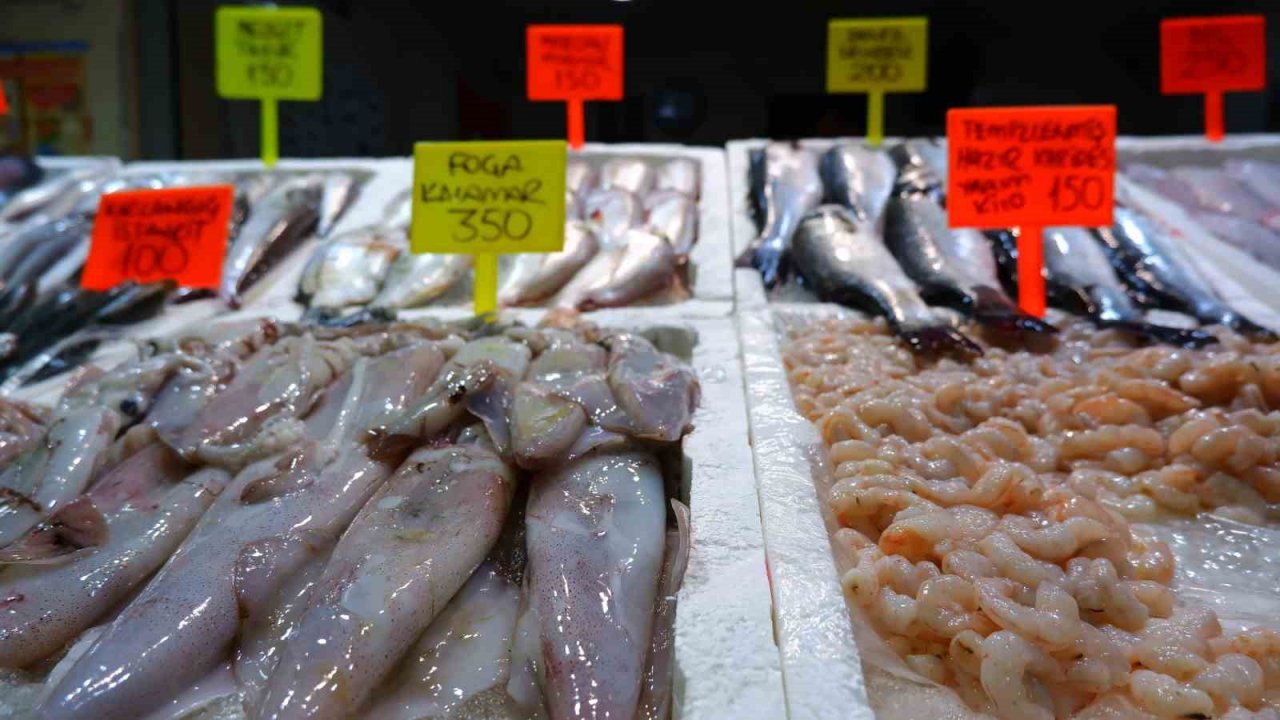 Av yasağı bitti, tezgâhları hamsi ve sardalya süslüyor