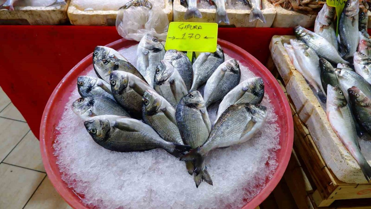 Av yasağı bitti, tezgâhları hamsi ve sardalya süslüyor