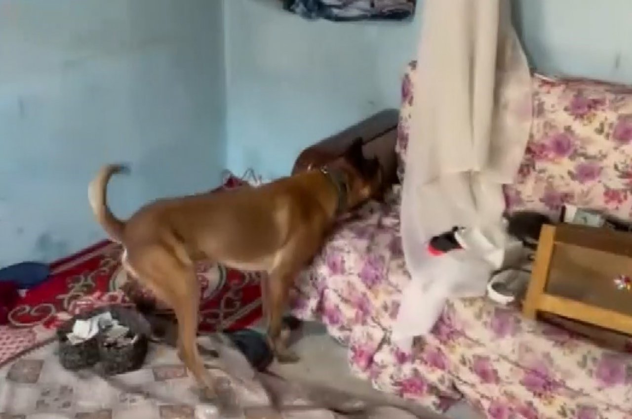 Gaziantep’te şafak operasyonu: 20 şüpheli hakkında yasal işlem yapıldı