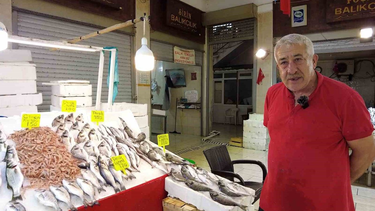 Av yasağı bitti, tezgâhları hamsi ve sardalya süslüyor