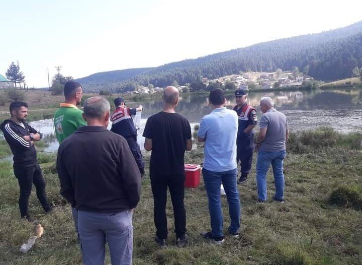 Yayla gölünde balık ölümleri