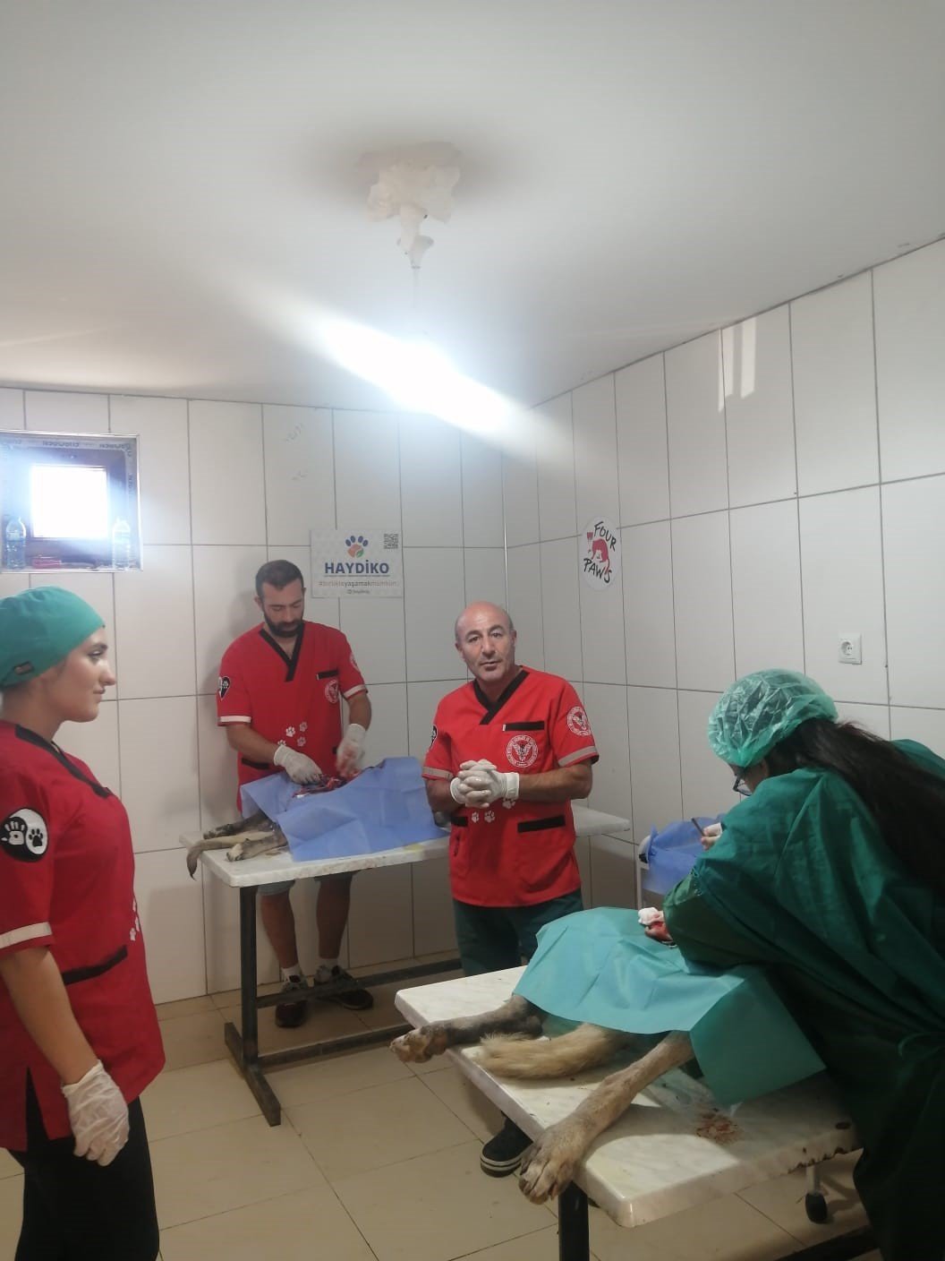 Elbistan’a hayvan hastanesi kuruluyor