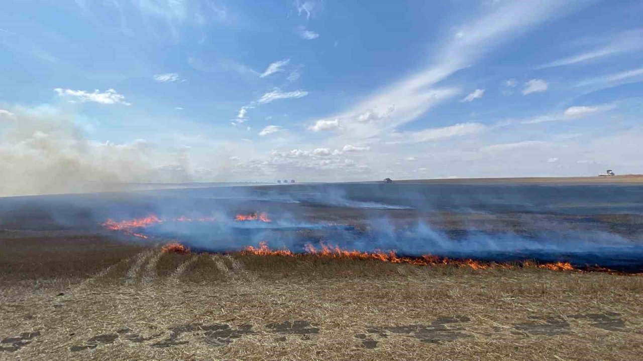 Tekirdağ’da 500 dönüm anız alev alev yandı