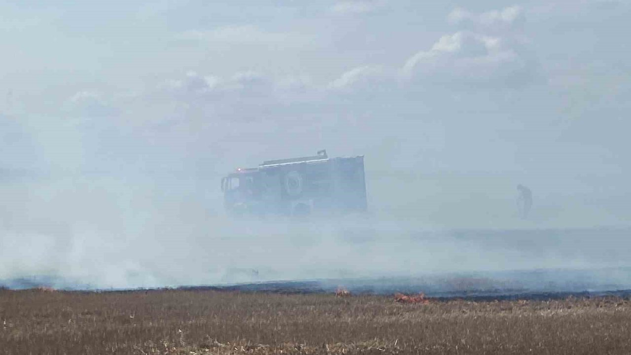 Tekirdağ’da 500 dönüm anız alev alev yandı