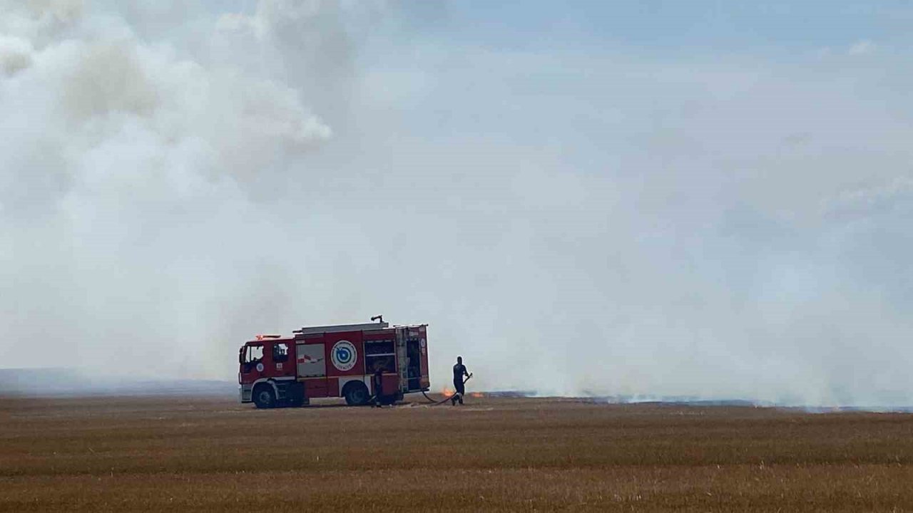 Tekirdağ’da 500 dönüm anız alev alev yandı