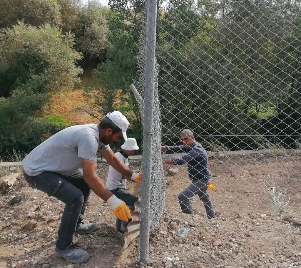 Hozat’ta Sokak hayvanları için çalışma başlatıldı