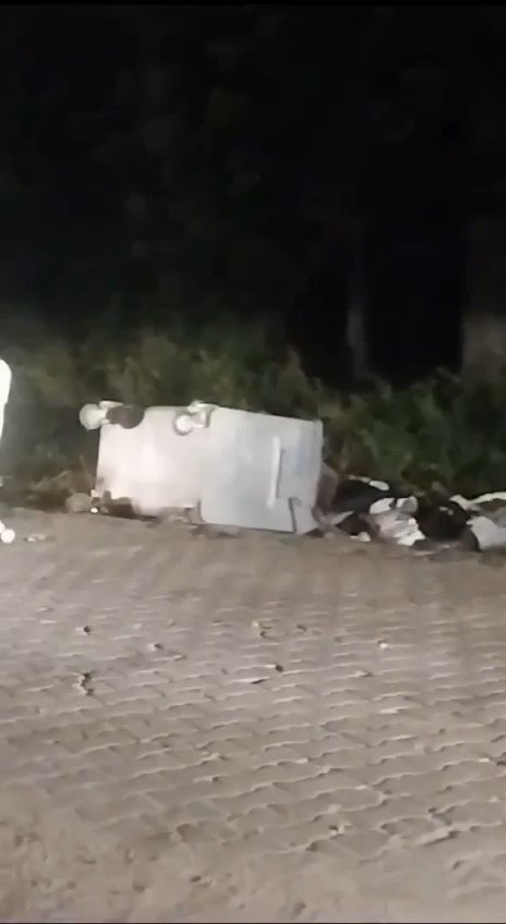 Uludağ’da aç kalan ayılar çöp konteynerlerini karıştırıp yiyecek aradılar