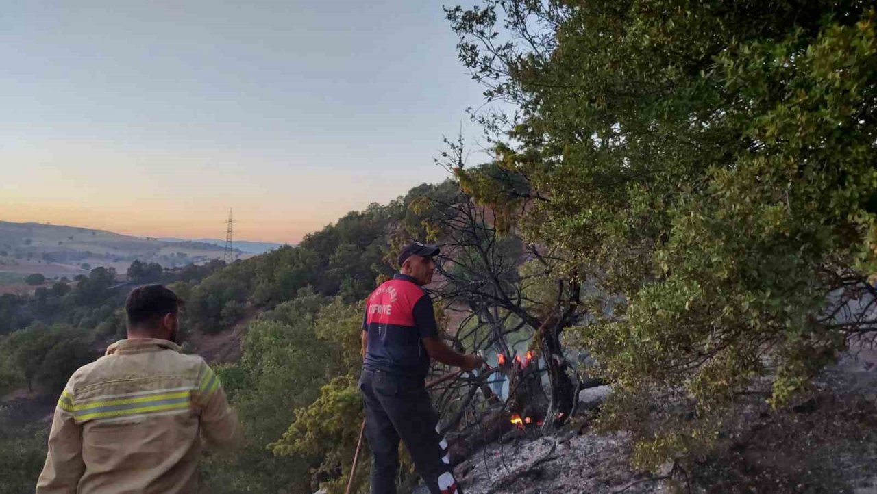 Anız yakmak isterken ormanı yaktı