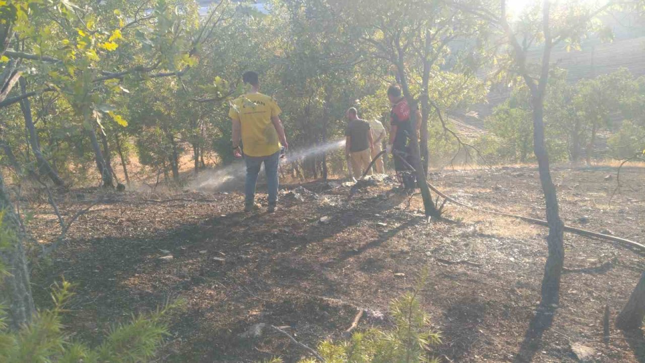 Anız yakmak isterken ormanı yaktı