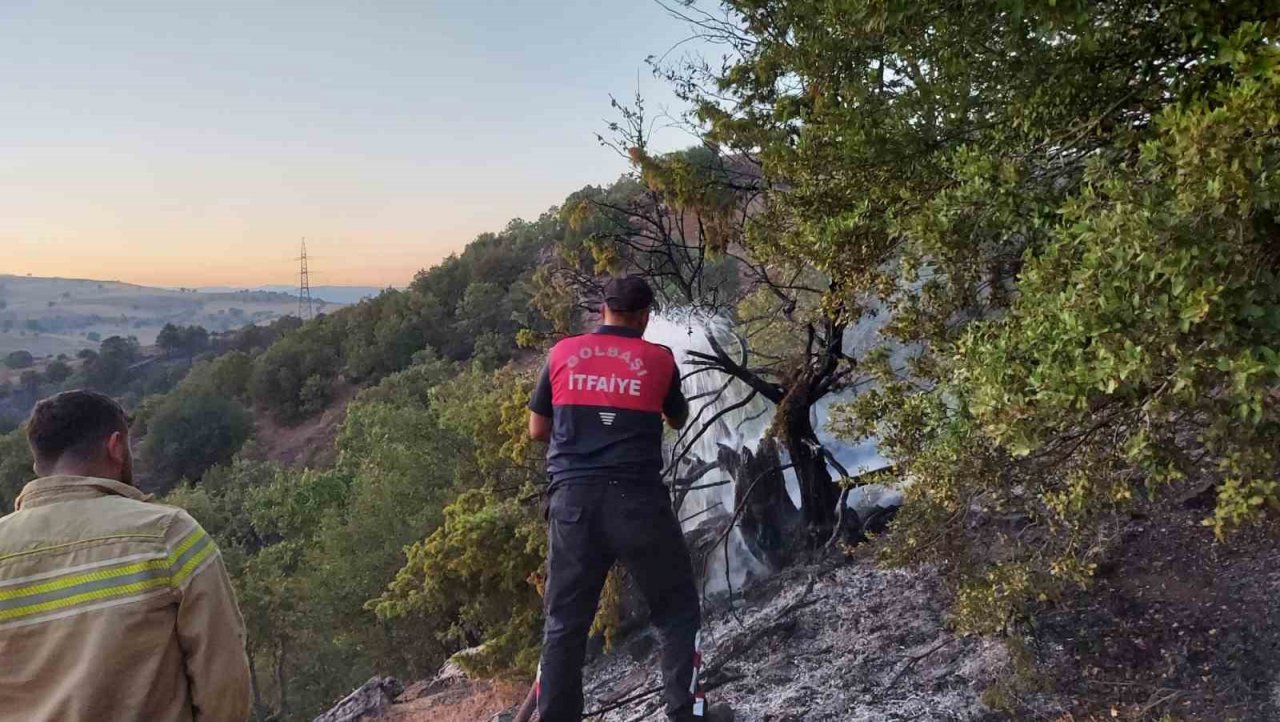 Anız yakmak isterken ormanı yaktı