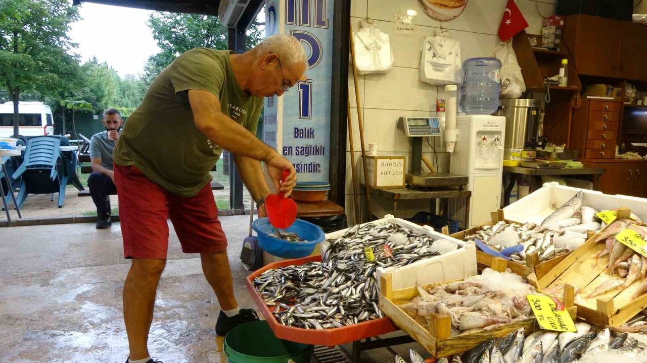 Tezgahlarda hamsi bolluğu yaşanıyor