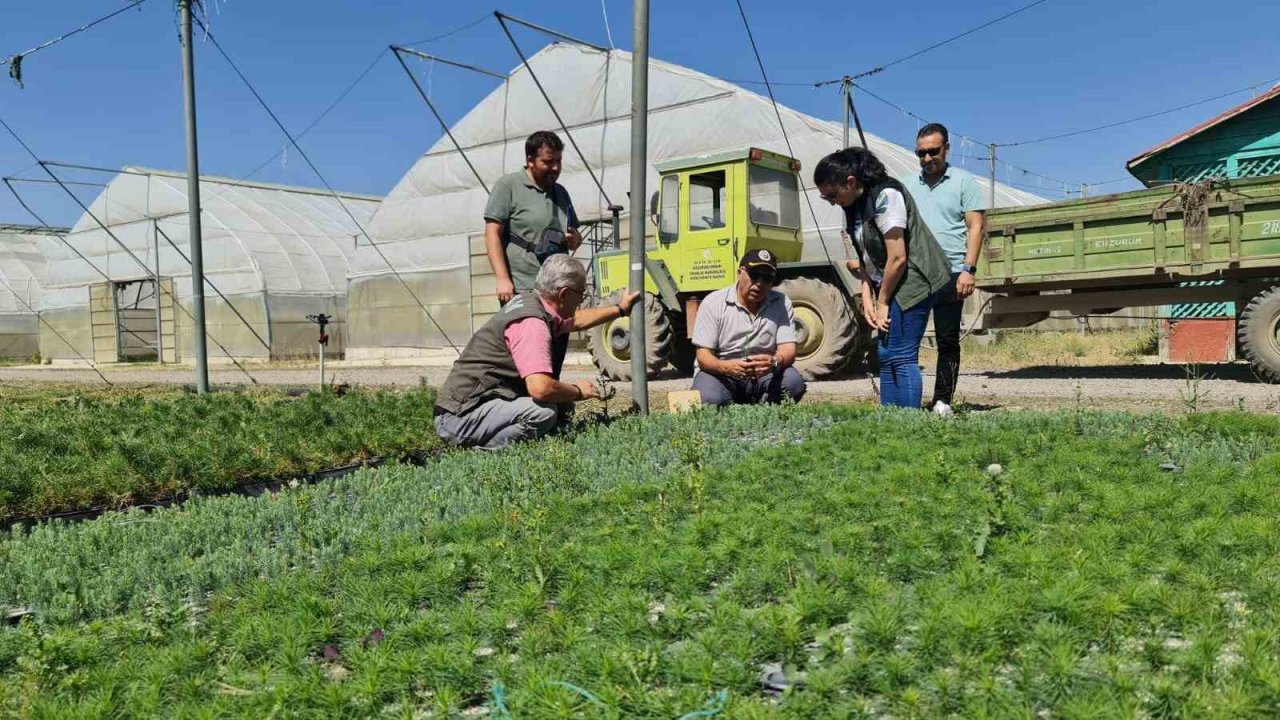 Ayatay; “Fidan üretimi ve dikimi önemli”