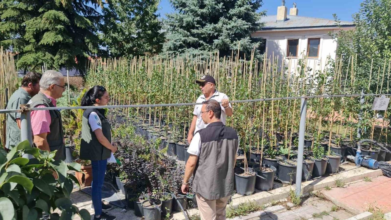 Ayatay; “Fidan üretimi ve dikimi önemli”