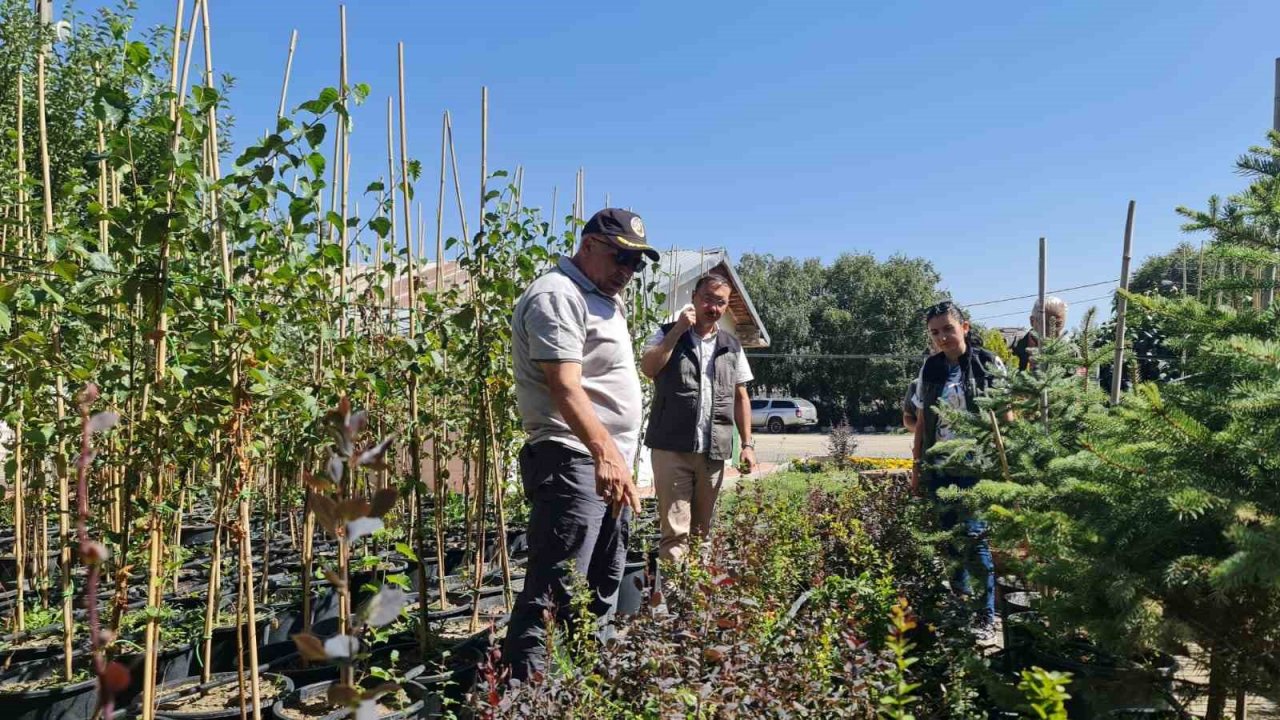 Ayatay; “Fidan üretimi ve dikimi önemli”