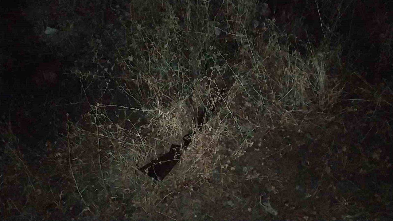 Gençler arasında silahlı kavga: 1 yaralı