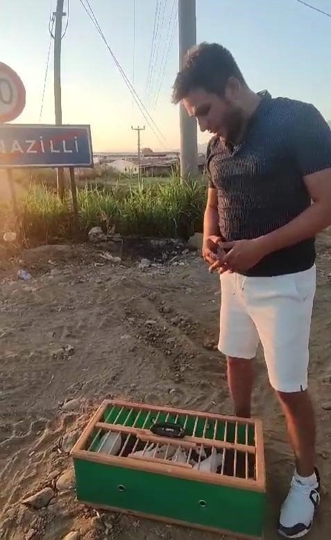 Denizli’nin dolapçı güvercinleri mesafe tanımıyor