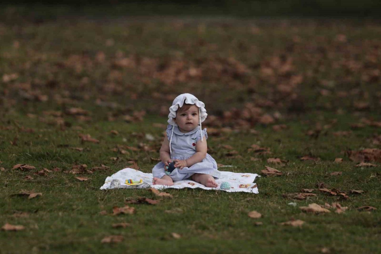 Karacabey longoz ormanları sonbaharda da güzel