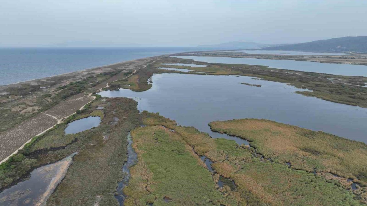 Karacabey longoz ormanları sonbaharda da güzel