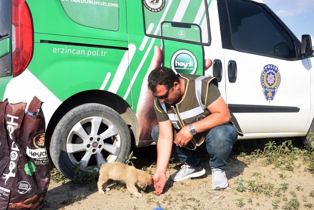 Erzincan’da HAYDİ ekipleri can dostları unutmuyor