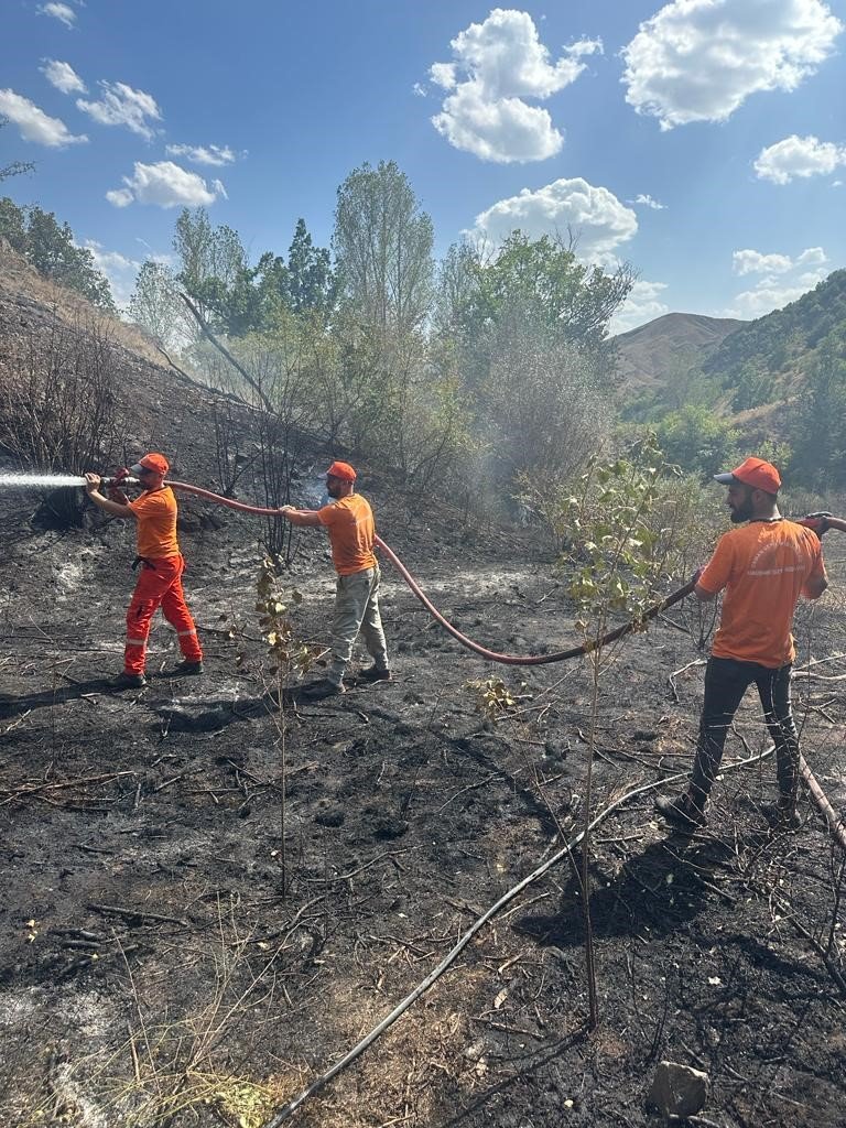 Gümüşhane’de iki köyde yangın paniği