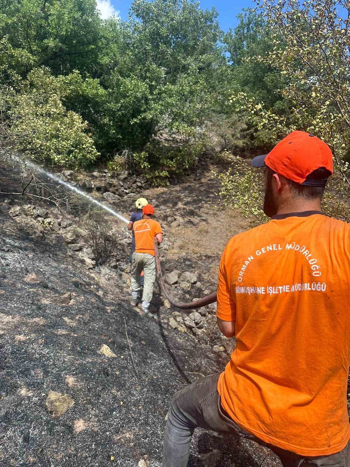 Gümüşhane’de iki köyde yangın paniği