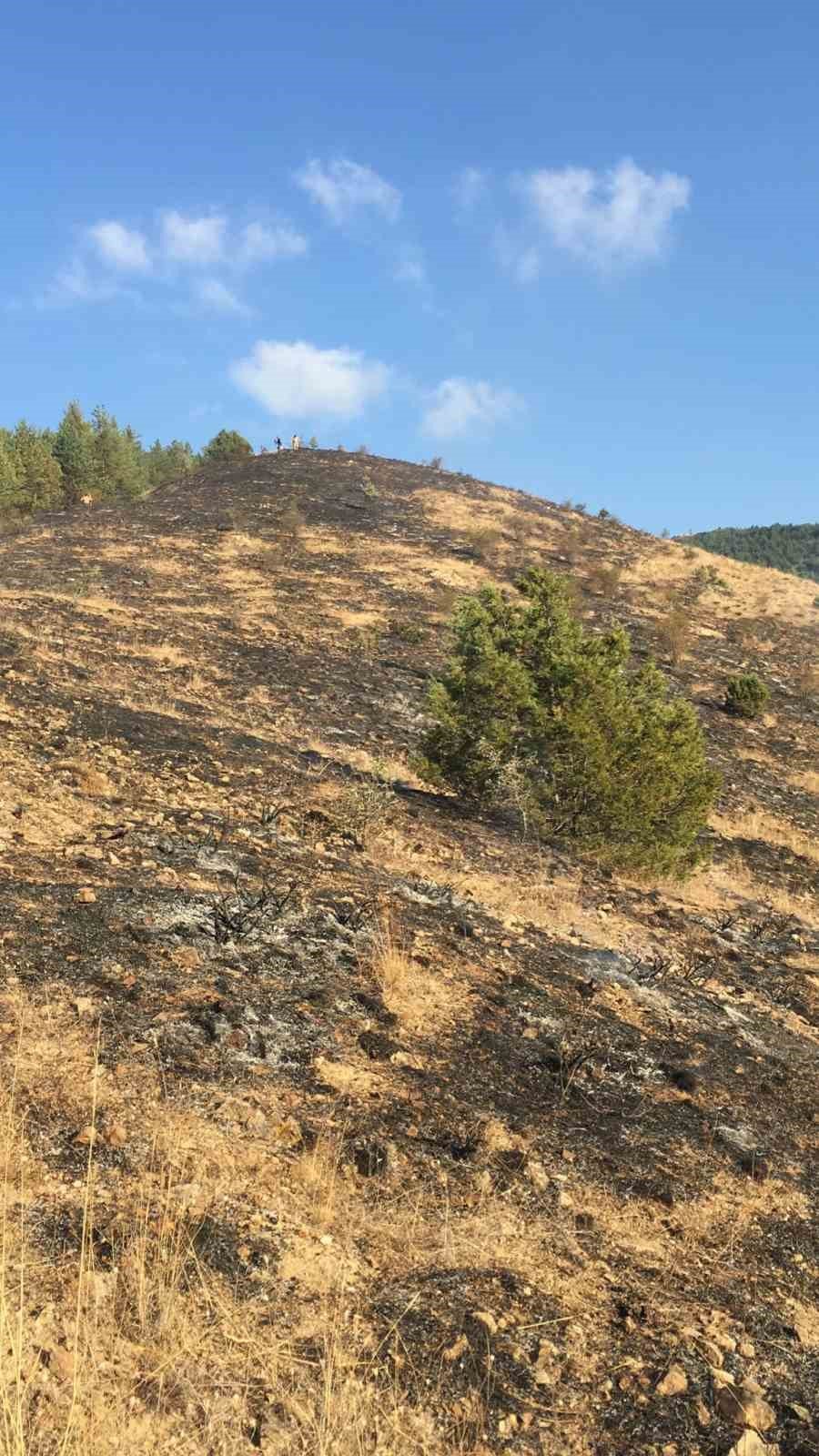 Gümüşhane’de iki köyde yangın paniği