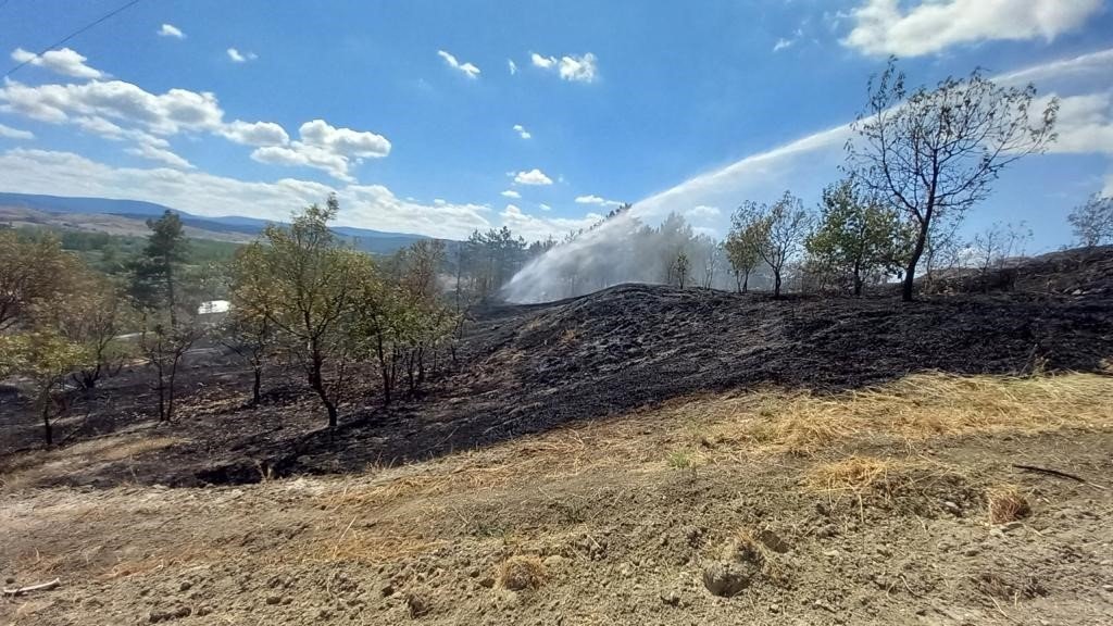 Tarlada çıkan anız yangını büyümeden söndürüldü